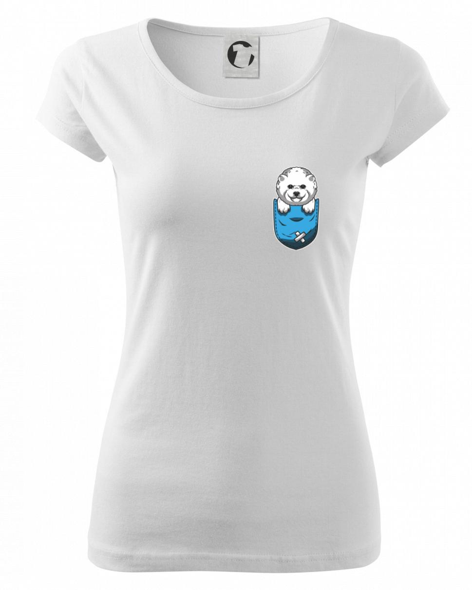 Bišonek v kapsičce