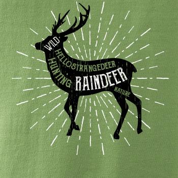 Deer raindeer