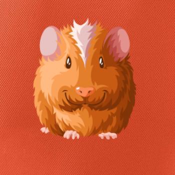 Morče - kreslené zepředu