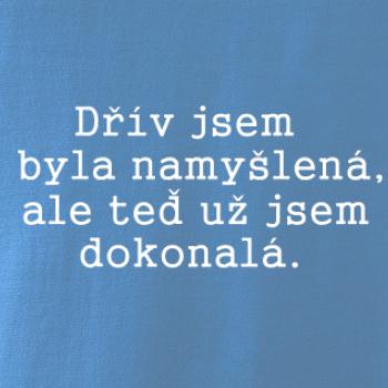 Jsem dokonalá