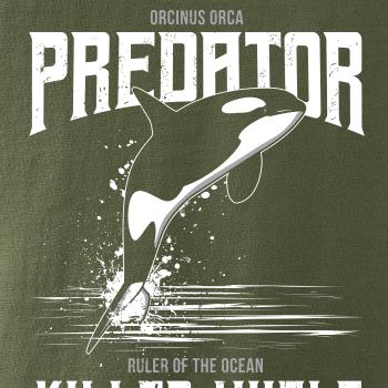 Orca predator