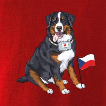 Pes záchranář bernský salašnický