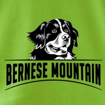 Bernese mountain - hlava a nápis