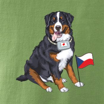 Pes záchranář bernský salašnický