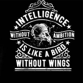 Inteligence Without Ambition is Like a bird Without Wings