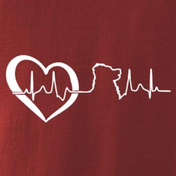 Bernský salašnický pes EKG