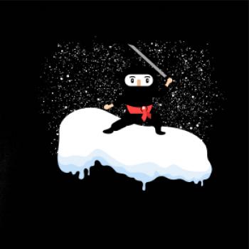 Ninja dont like winter