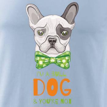 I am bull dog, you are not I am bull dog, you are not