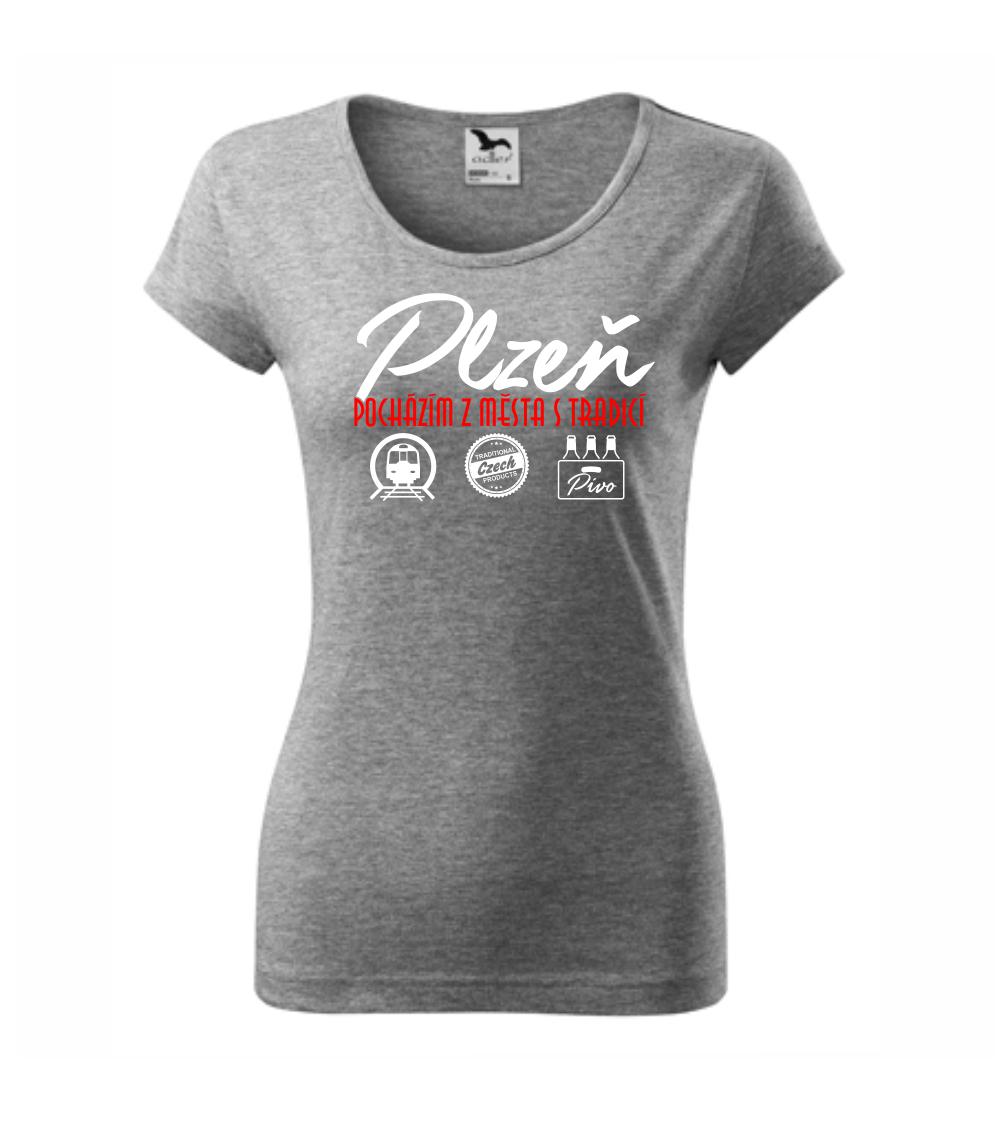Plzeň město s tradicí