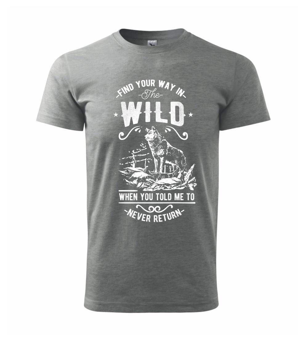 Find Your Way in the Wild Find Your Way in the Wild