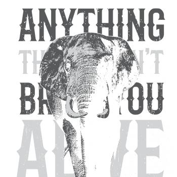 Elephant toosmall