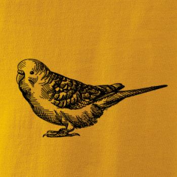 Tužkou kreslený Papoušek