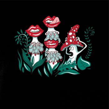 Smyslné houby (Pecka design)