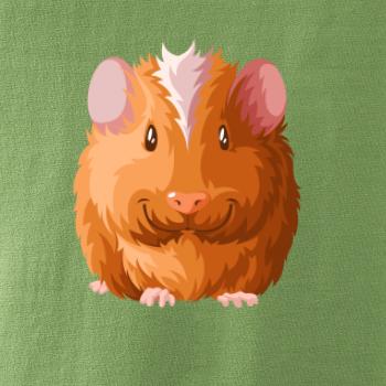 Morče - kreslené zepředu