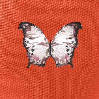 Motýl růžovobílý