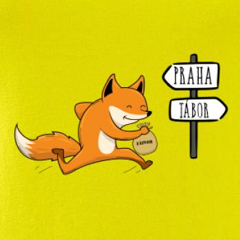 Běží liška k táboru