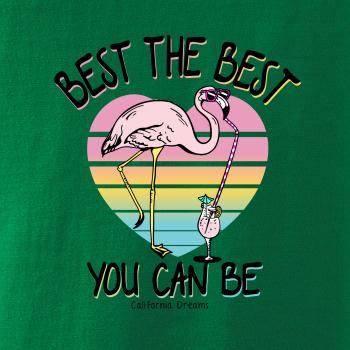 Best the best plameňák