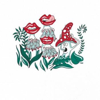 Smyslné houby (Pecka design)