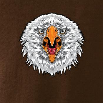 Hlava rozzlobeného orla