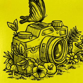 Foťák kreslený motýl