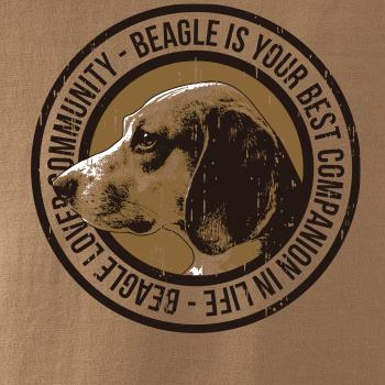 Dog beagle