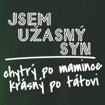 Jsem úžasný syn Jsem úžasný syn