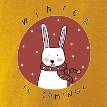 Winter is coming zajíc