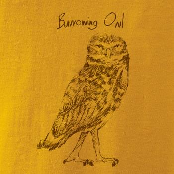 Sýček králičí burrowing owl