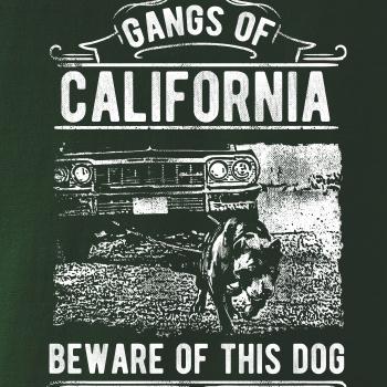 Gangs Of California