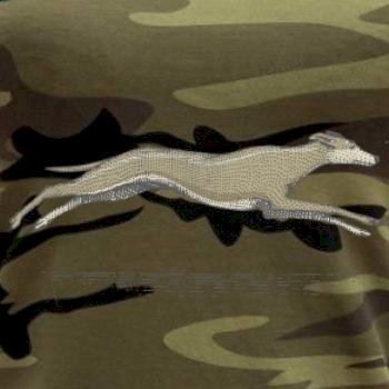 Vintage Greyhound