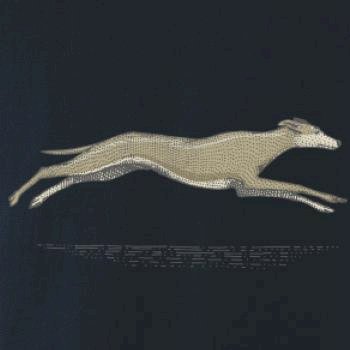 Vintage Greyhound
