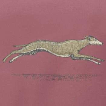 Vintage Greyhound