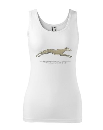 Vintage Greyhound