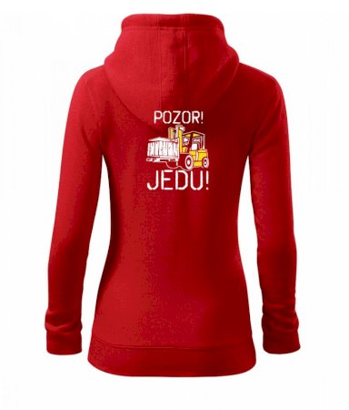 Pozor jedu ještěrka