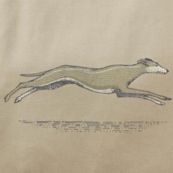 Vintage Greyhound