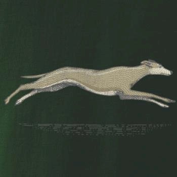 Vintage Greyhound