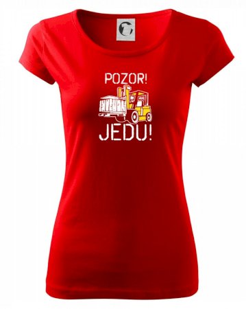 Pozor jedu ještěrka