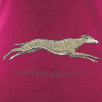 Vintage Greyhound