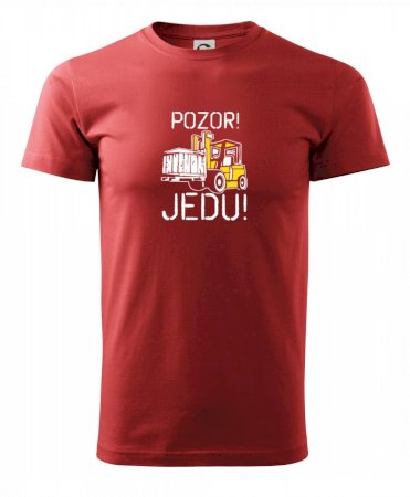 Pozor jedu ještěrka
