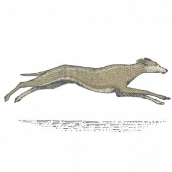 Vintage Greyhound