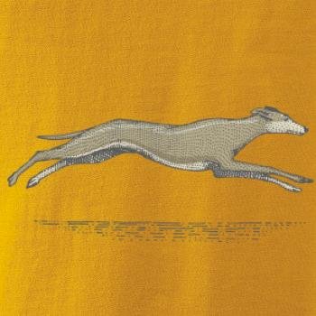 Vintage Greyhound