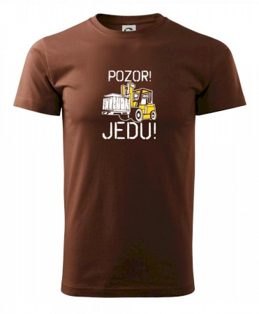 Pozor jedu ještěrka