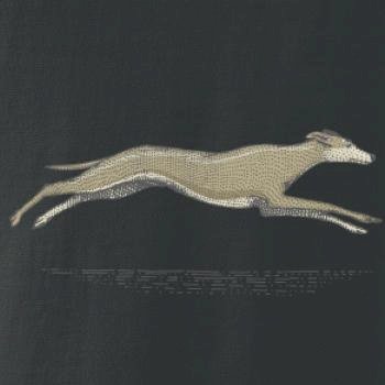Vintage Greyhound
