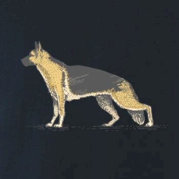 Vintage German shepherd