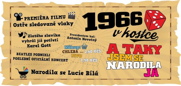 Hrnek - 1966 v kostce pro ženu