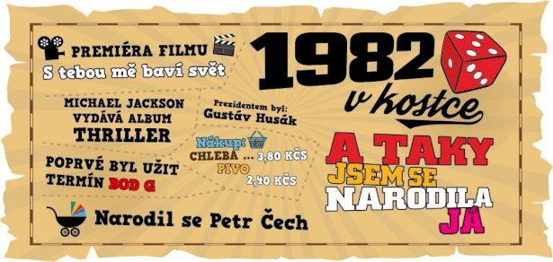 Hrnek - 1982 v kostce pro ženu