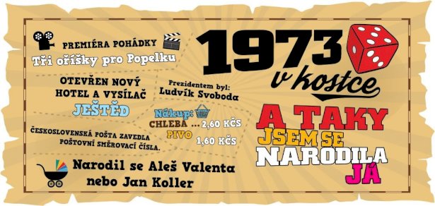 Hrnek - 1973 v kostce pro ženu