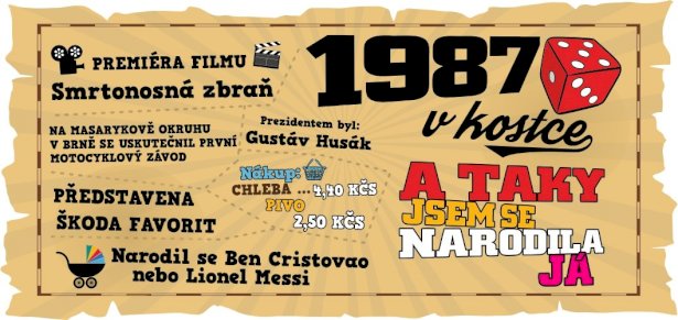 Hrnek - 1987 v kostce pro ženu