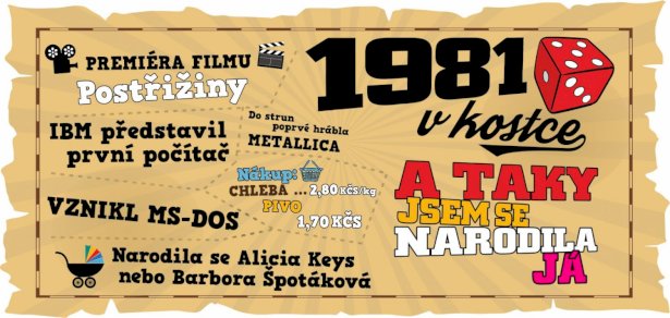 Hrnek - 1981 v kostce pro ženu