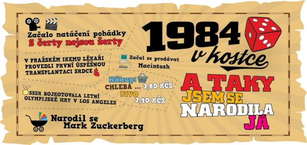 Hrnek - 1984 v kostce pro ženu